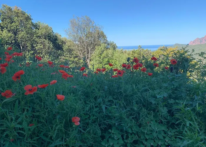 Les Asphodeles Apartmán *