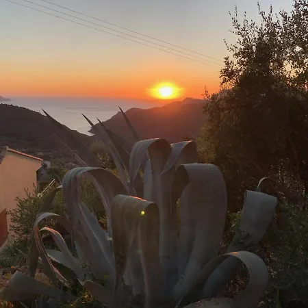 Les Asphodeles Partinello