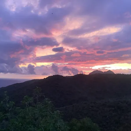 Apartment Les Asphodeles Partinello