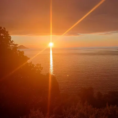 Apartment Les Asphodeles