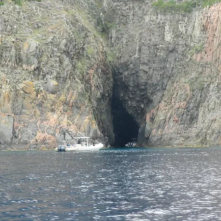 Les Asphodeles Partinello