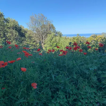 Les Asphodeles Apartment *