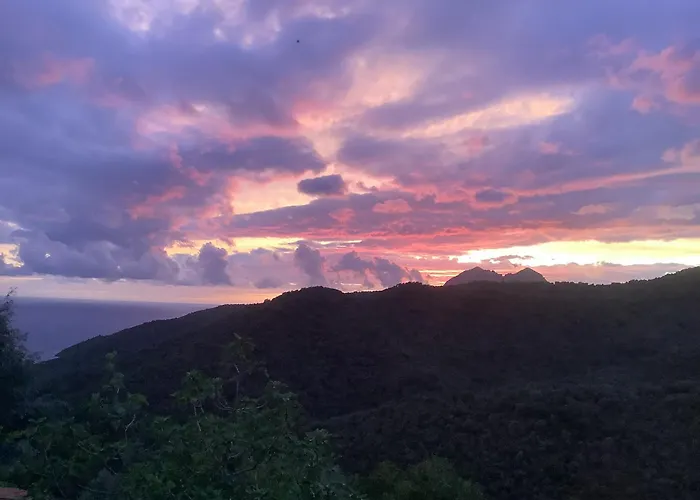 Appartement Les Asphodeles Partinello