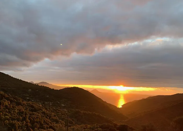 Appartement Les Asphodeles