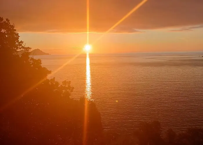 Appartement Les Asphodeles