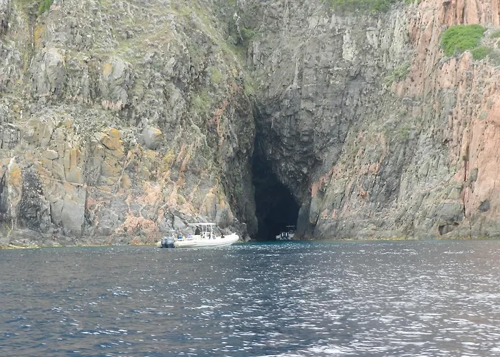 Les Asphodeles Partinello